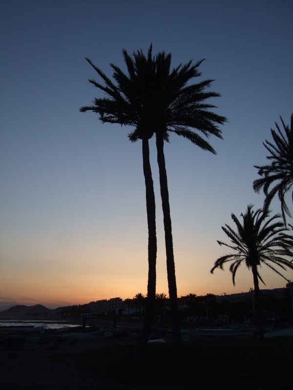 Anadalusien 2009 - 0343 